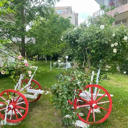 Kims One-bed For Rent At Sunny * Napospart